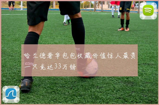 哈兰德奢华包包收藏价值惊人最贵一只竟达33万镑